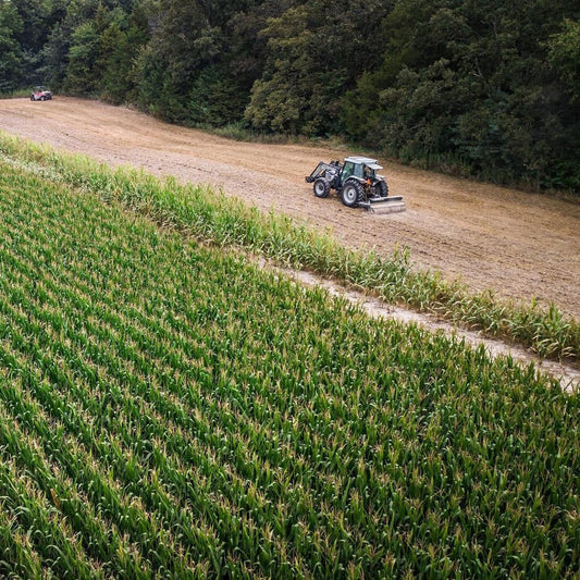 Get the Job Done Right with Ripping It Outdoors