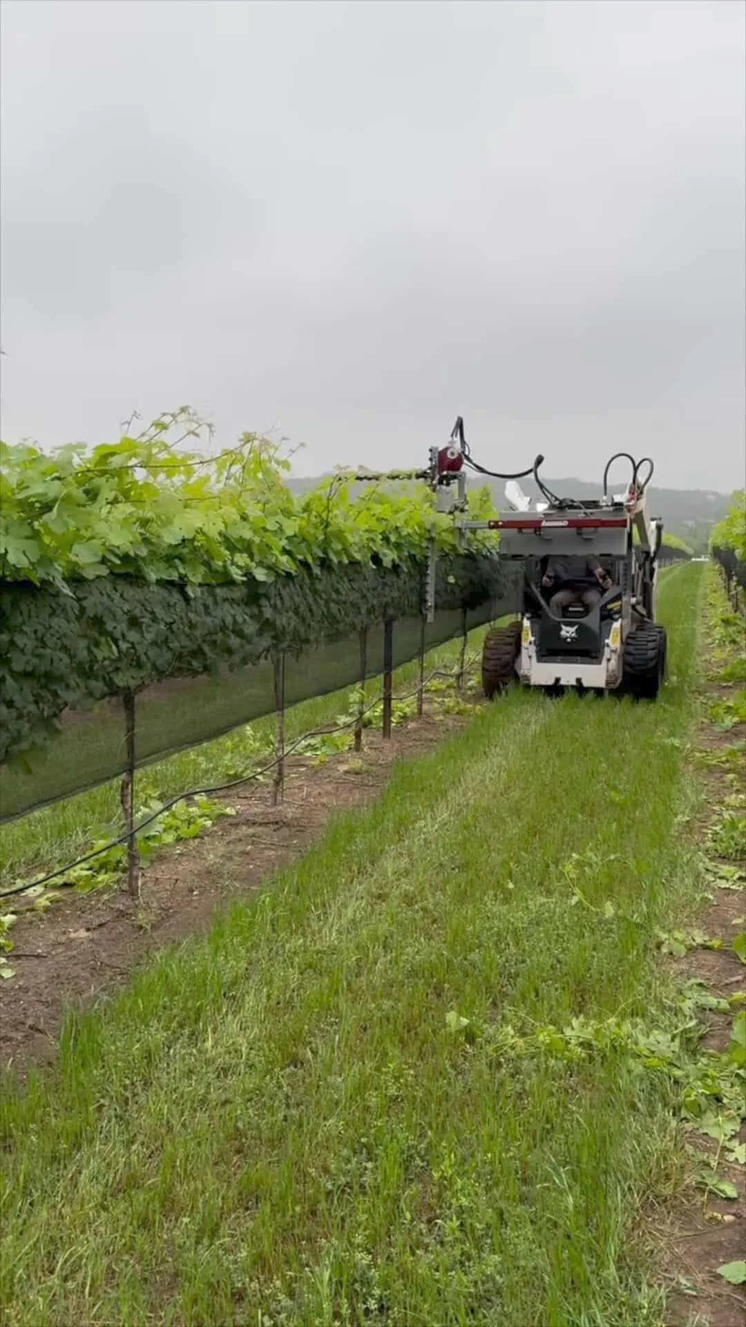 Agrishield Vine & Berry Trimmer | T3 Series | Width Range 45"-111" | Oil Flow Range 6-8 GPM | For Skid Steers