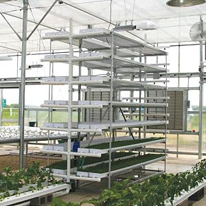 FarmTek FodderPro 2.0 Commercial Feed Module | High-Yield, Space-Saving Indoor Fodder System