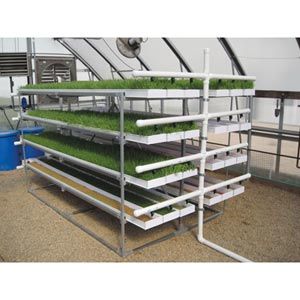 FarmTek FodderPro 2.0 Indoor Feed Module System | Compact, Efficient Fodder Production