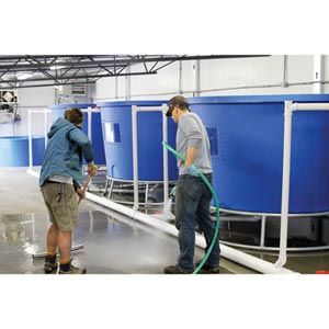 FarmTek HydroCycle Aquaponics Plant/Fish Farming Growing Systems | Integrated Sustainable Growing Solution