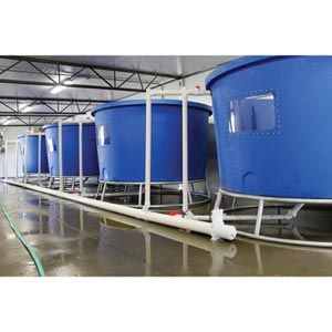FarmTek HydroCycle Aquaponics Plant/Fish Farming Growing Systems | Integrated Sustainable Growing Solution