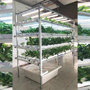 FarmTek HydroCycle Vertical Farming NFT System | Lettuce & Herb Hydroponic System