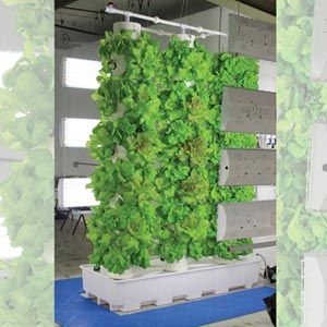 FarmTek HydroCycle Vertical Aeroponic System | Indoor High-Yield Growing For Tight Spaces