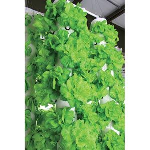 FarmTek HydroCycle Vertical Aeroponic System | Indoor High-Yield Growing For Tight Spaces