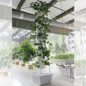 FarmTek HydroCycle Vertical Aeroponic System | Indoor High-Yield Growing For Tight Spaces