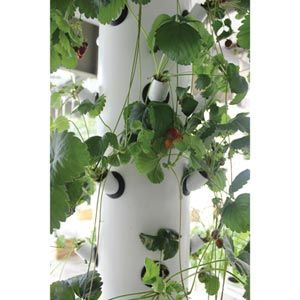 FarmTek HydroCycle Vertical Aeroponic System | Indoor High-Yield Growing For Tight Spaces