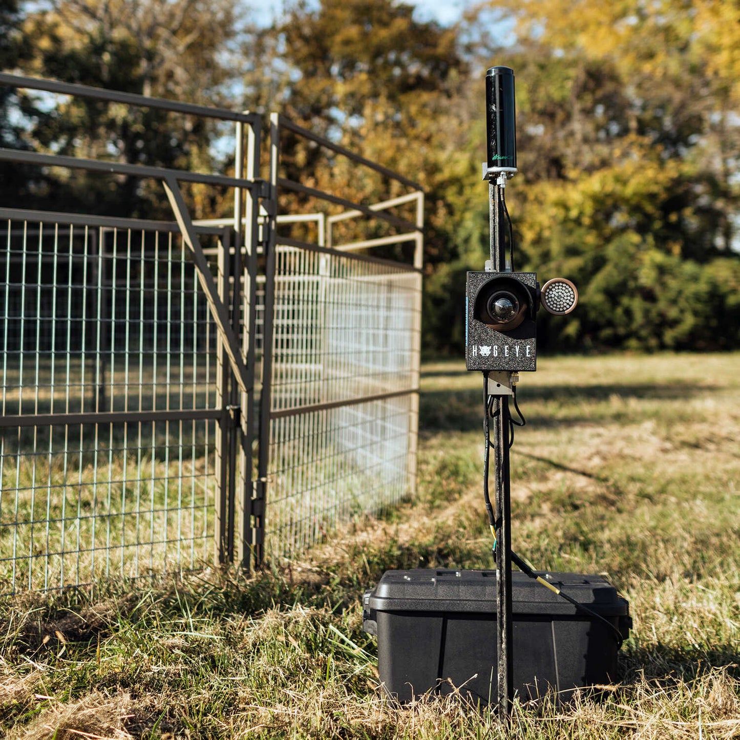 HogEye | Camera System | Wildlife Management | For Feral Hog Trapping