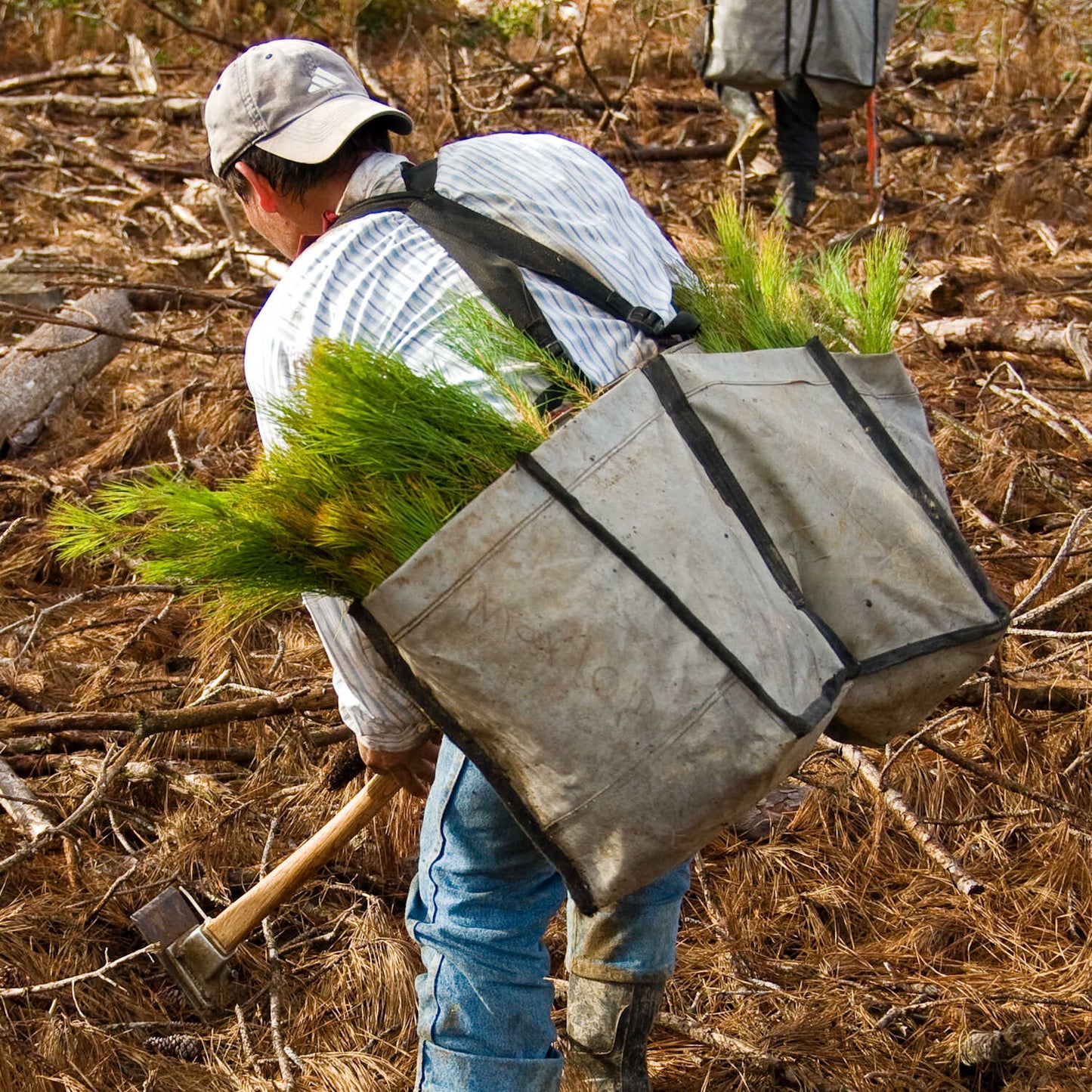 Jim-Gem® | Professional Model Tree Planting Bag | Split Bag Design