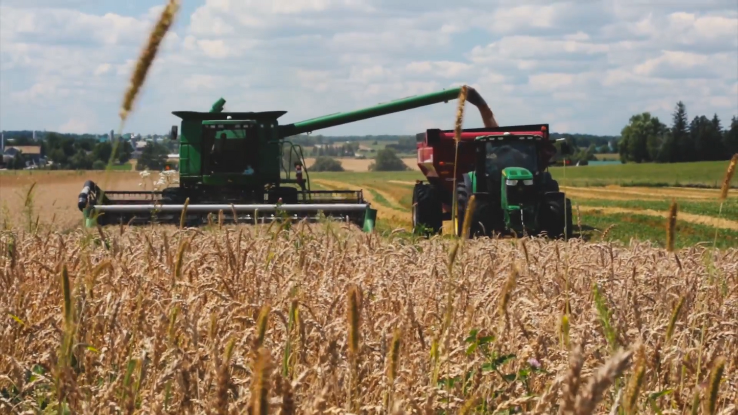 MK Martin | Gravity Box | Model MKGW12000 | 1,200 Bushel Capacity | 12 GA Steel Hopper | Horsepower 150 – 200+ HP | For Tractors