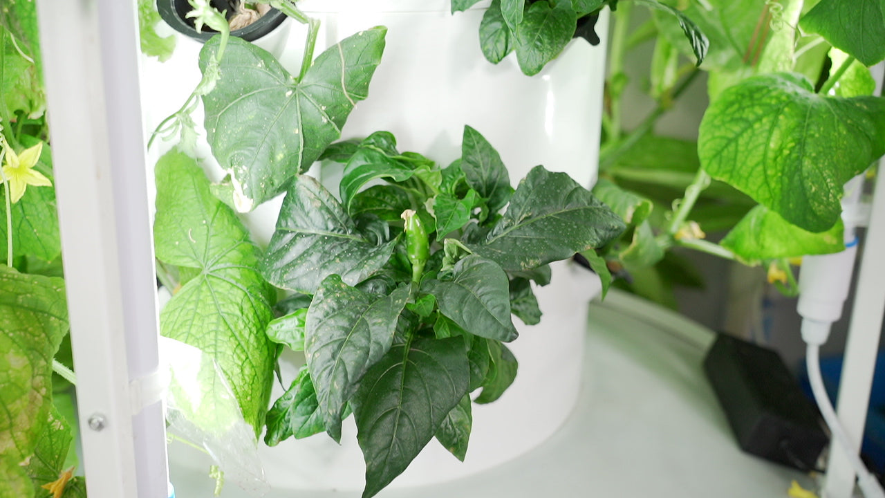 Lyine 6P10-4/6P15-4 Rotating Hydroponic Tower with LED Light System | 10 & 15 Layers | 100L