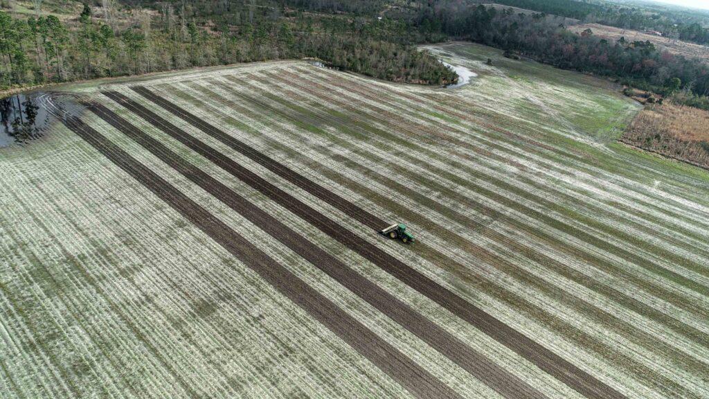 Harrell Ag | Terminator Crop Chopper | 8-10 Inch Residue Cutting | HorsePower 100-250 HP | For Tractors