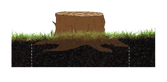 Baumalight | Stump Grinder | S22 | 24" Rotor | 12V Swing Actuator | 12–25 GPM | For Skidsteer