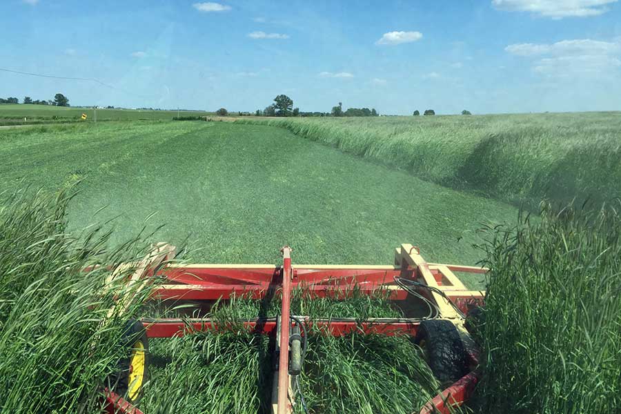 I&J Roller Crimpers | 8', 10' & 15.5' Cover Crop Rollers w/ Option of Custom-Built Sizes | Available in 3, 4, & 6-row | | For Tractors