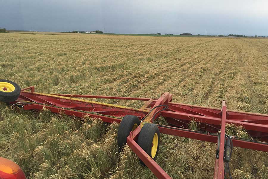 I&J Roller Crimpers | 8', 10' & 15.5' Cover Crop Rollers w/ Option of Custom-Built Sizes | Available in 3, 4, & 6-row | | For Tractors