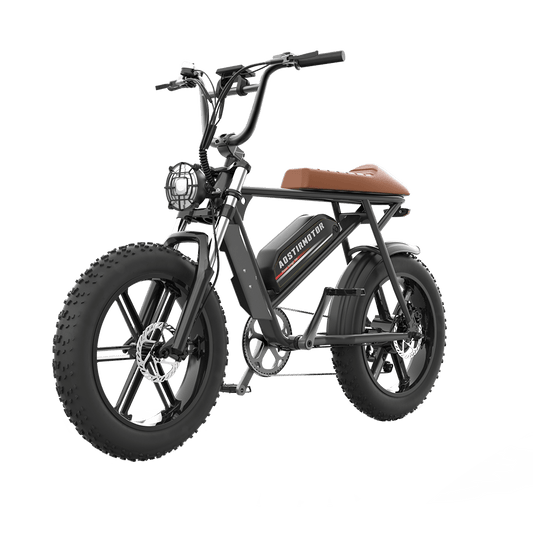 Aostirmotor Super Cool New Model Electric Bike Storm | 750W Brushless Motor | 48V 13Ah Lithium Battery