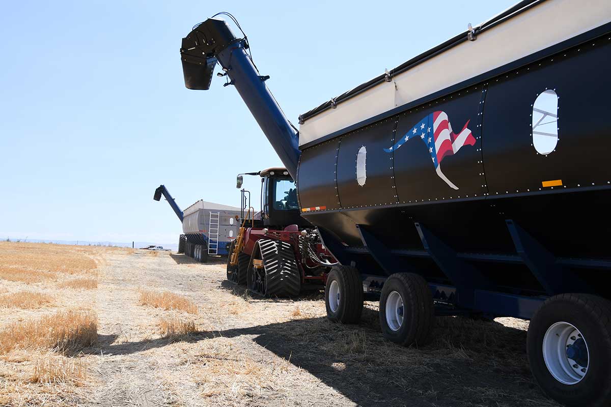 Walkbout Mother Bins 4000+ Eastern Grey and 6000+ Big Red | For Tractor