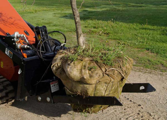 Paladin Tree Fork | 33" Length Tines | 8-15 GPM | For Mini Skid Steer