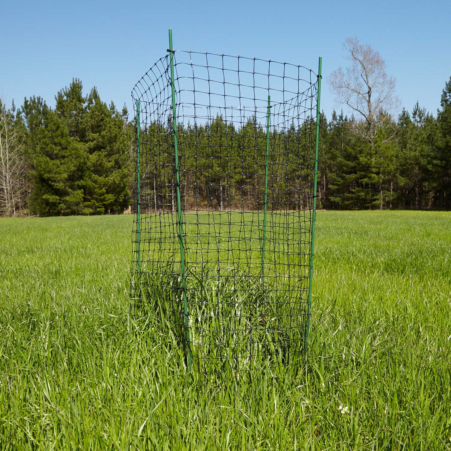 Jim-Gem® | Food Plot Exclusion Cage