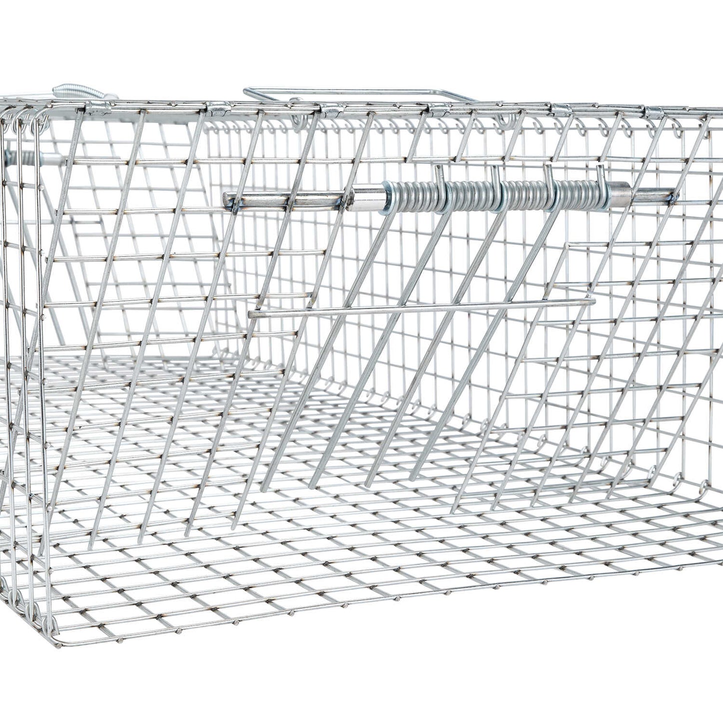 Tomahawk Collapsible Pigeon Trap | 2-Door | 35˝L x 16˝W x 8˝H