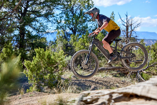 QuietKat Ibex E-Bike | Range Up-To 63 Miles | Load Capacity 300+ Lbs