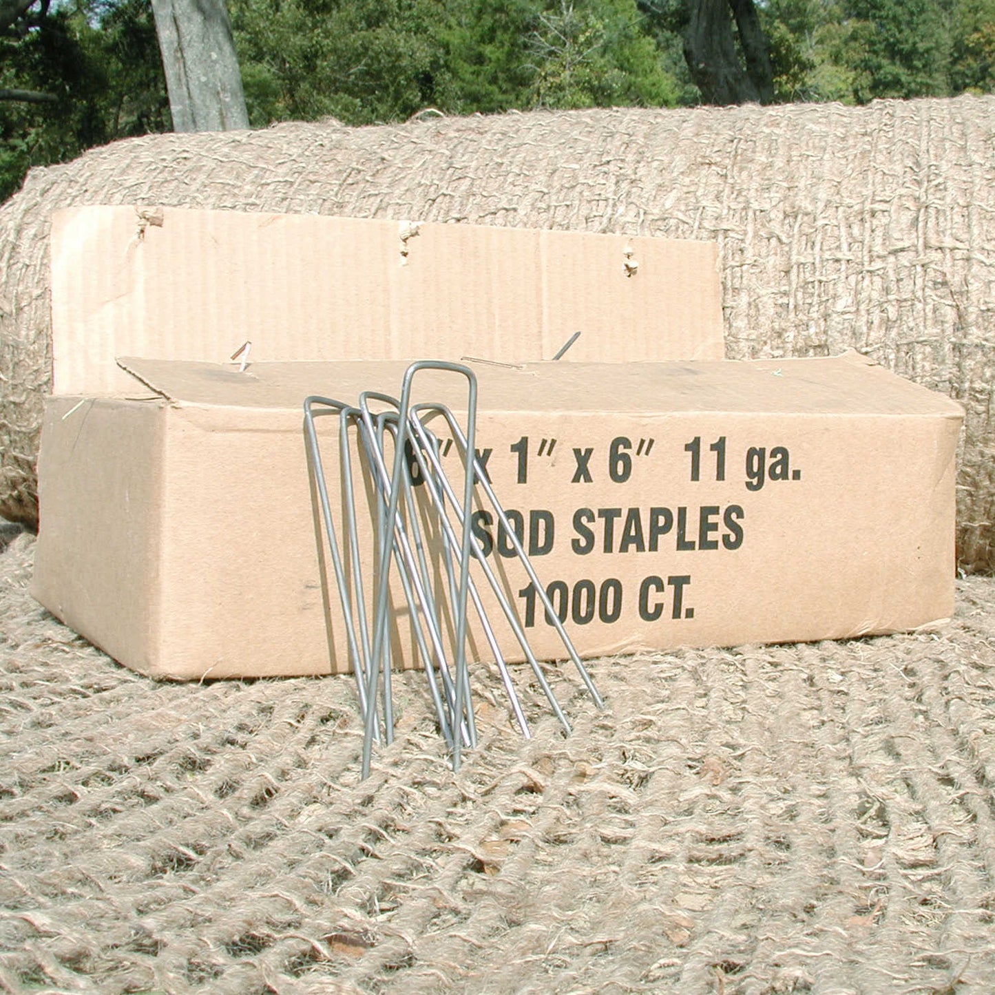 Forestry Supplies Steel Ground Staples