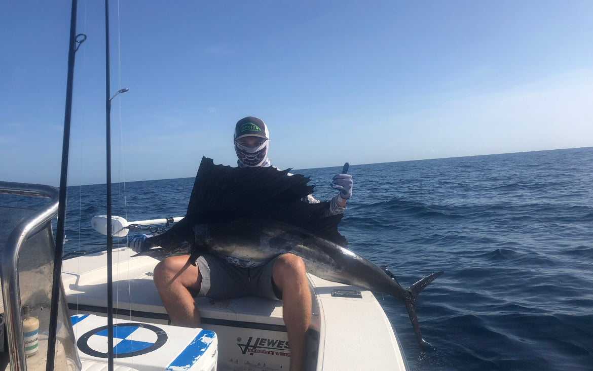 Florida Sailfish Fishing Trips