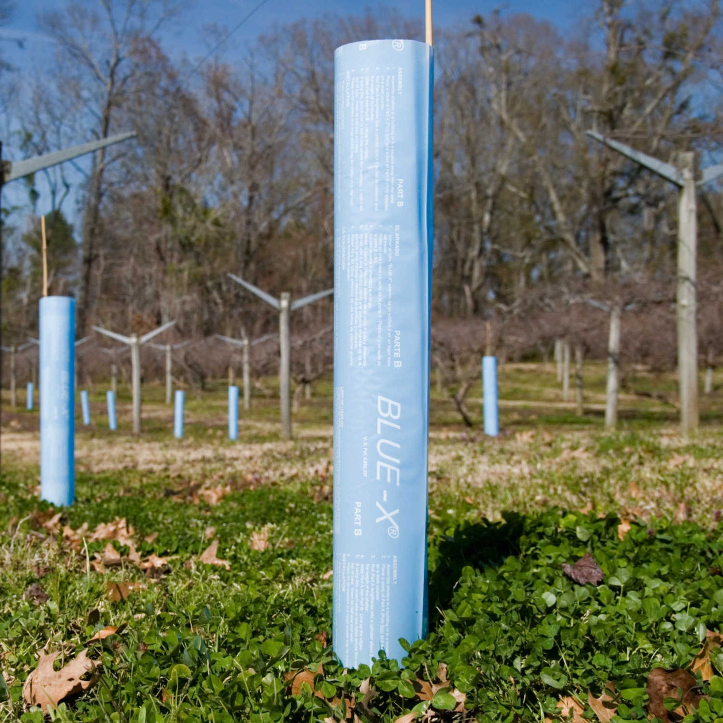 Blue-X Tree Shelters, 48”, Pack of 100