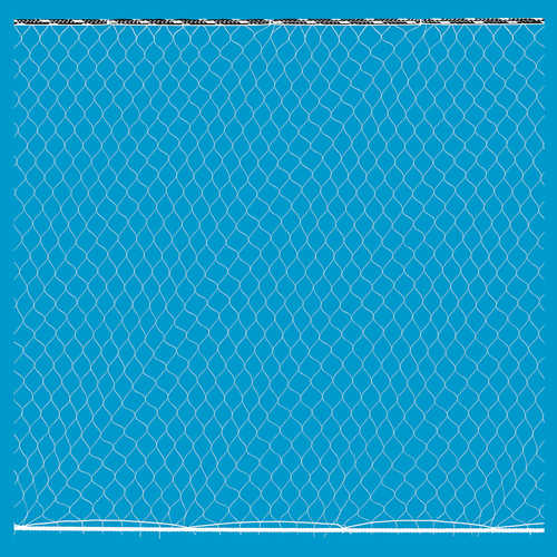 Duluth Nets American Fisheries Society Experimental Gill Net