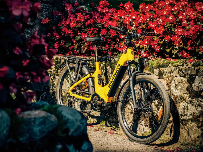 Himiway A7 Pro | Urban Electric Commuter Bike | 48V-500W