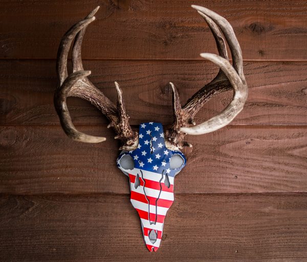 Do All Traps America Buck Antler Mount | Wide 6" | Tall 12"