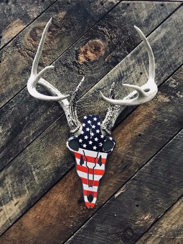Do All Traps America Buck Antler Mount | Wide 6" | Tall 12"