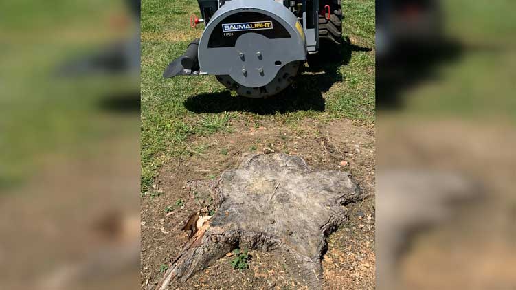Baumalight 3-Point Hitch Stump Grinder | Model 1P24 | Rotor Size 24" | Horsepower 20 To 45 HP | For Tractors