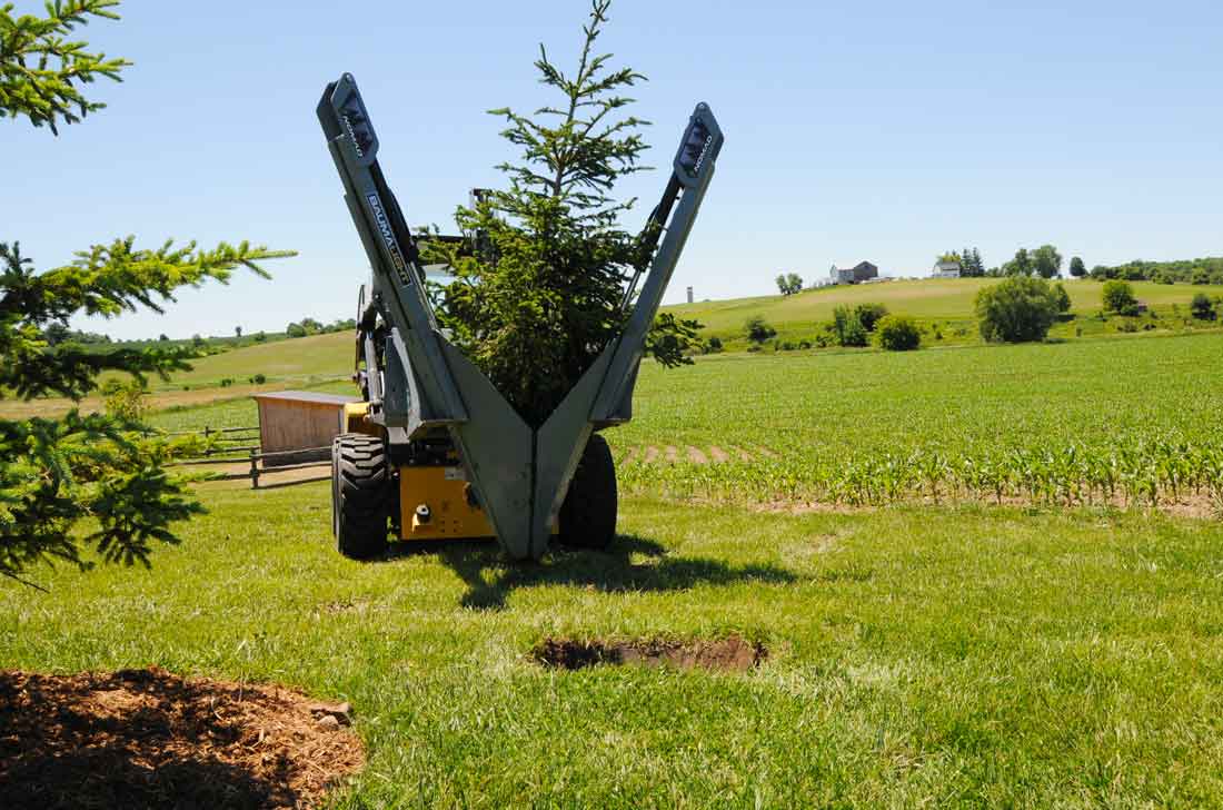 BaumaLight Tree Spade | Model ST330 | Root Ball Diameter 30" Inches | Hydraulic Flow 5 To 20 GPM | For Skid Steers
