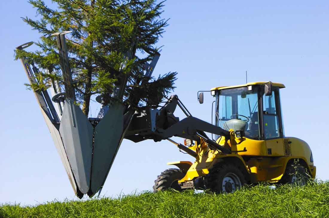 Baumalight Tree Spade Dual Hinged 6 Blade | Model ST650 | 50" Root Ball Diameters | Hydraulic Flow 5 To 20 GPM | For Skid Steers
