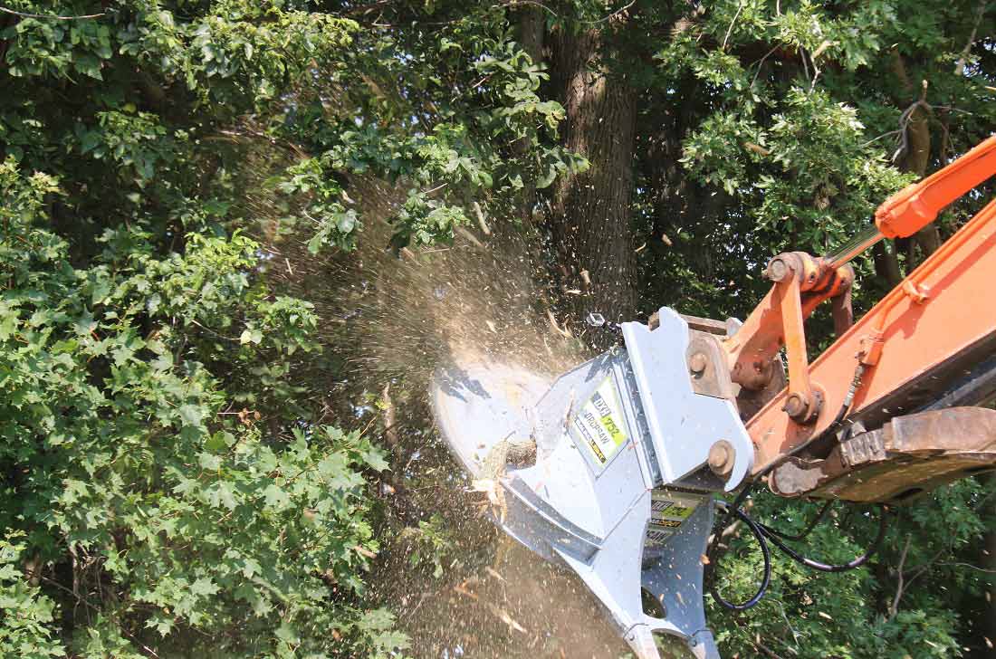 Baumalight Tree Saw | Model DXA530 & DXH752 | Blade Diameter 30" & 52" | Machine Size 4 To 22 Tons | For Excavators