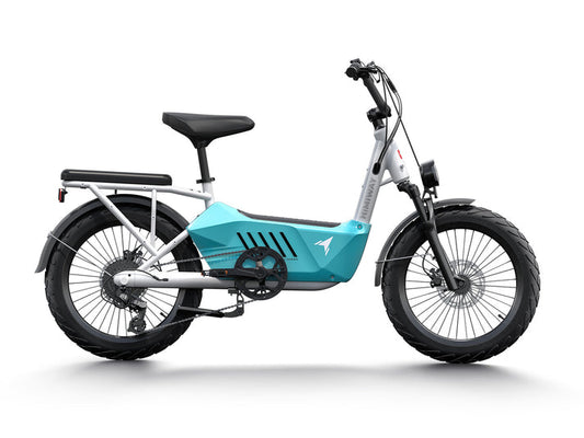Himiway Cargo Electric Bike | Model C3 | Length 70.4" | Battery 48V 20Ah | Range 80 Miles | 750W Hub Motor