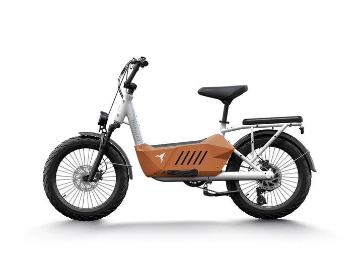 Himiway Cargo Electric Bike | Model C3 | Length 70.4" | Battery 48V 20Ah | Range 80 Miles | 750W Hub Motor