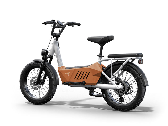 Himiway Cargo Electric Bike | Model C3 | Length 70.4" | Battery 48V 20Ah | Range 80 Miles | 750W Hub Motor