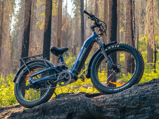 Himiway | Electric Bike | Model D5 2.0 ST (Step-Thru) | 750W Hub Motor | 26 x 4.0” Fat Tires | 65 Mile Range | 400 lb Payload | 90Nm Torque | For Urban Commuting & All-Terrain Adventure