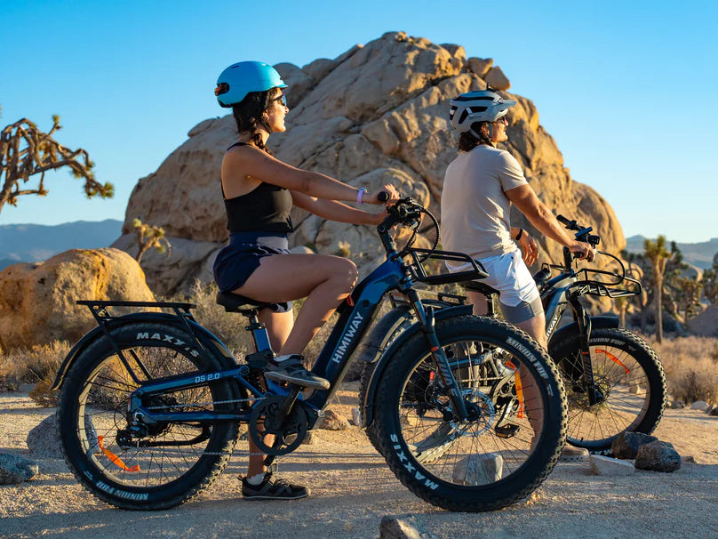 Himiway | Electric Bike | Model D5 2.0 ST (Step-Thru) | 750W Hub Motor | 26 x 4.0” Fat Tires | 65 Mile Range | 400 lb Payload | 90Nm Torque | For Urban Commuting & All-Terrain Adventure