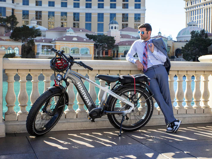 Himiway D5 Pro Premium All-terrain Electric Fat Bike | 500W | 48V 20Ah