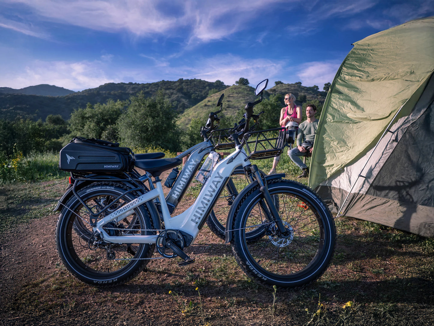 Himiway D5 (Zebra) | High Step | Premium All-terrain Electric Fat Bike
