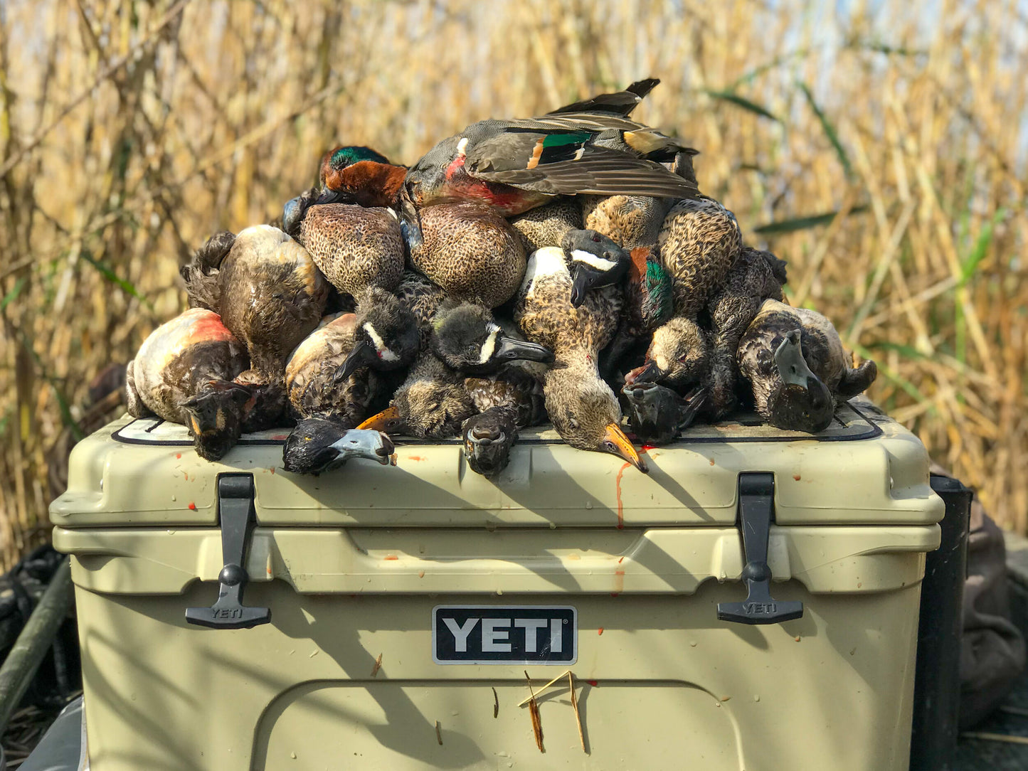 Florida Duck Hunting Trip - Private Land