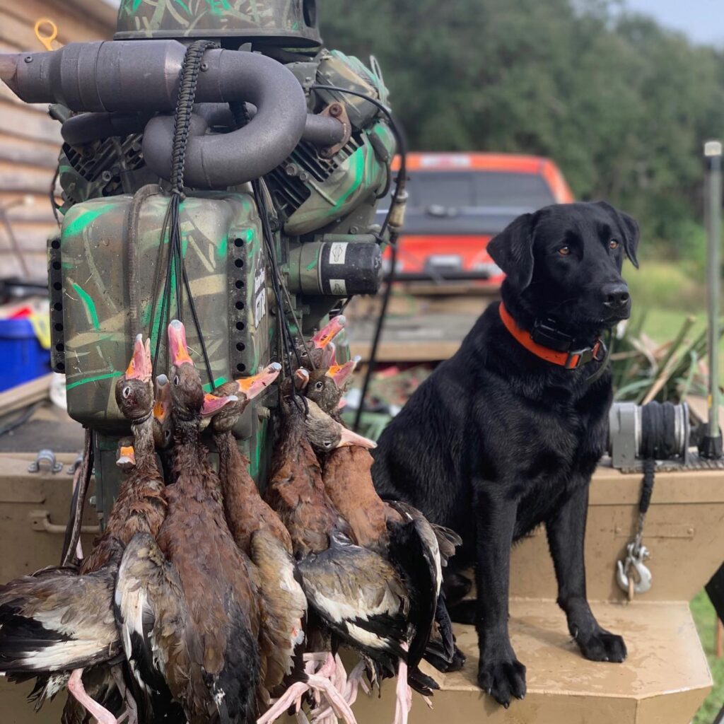 Florida Duck Hunting Trip - Private Land
