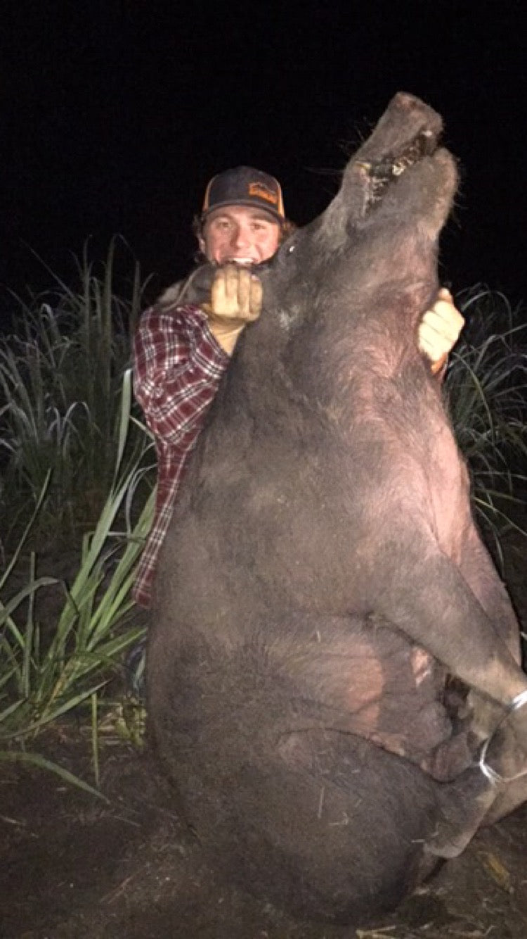 Florida Hog Hunting Trip - Private Land