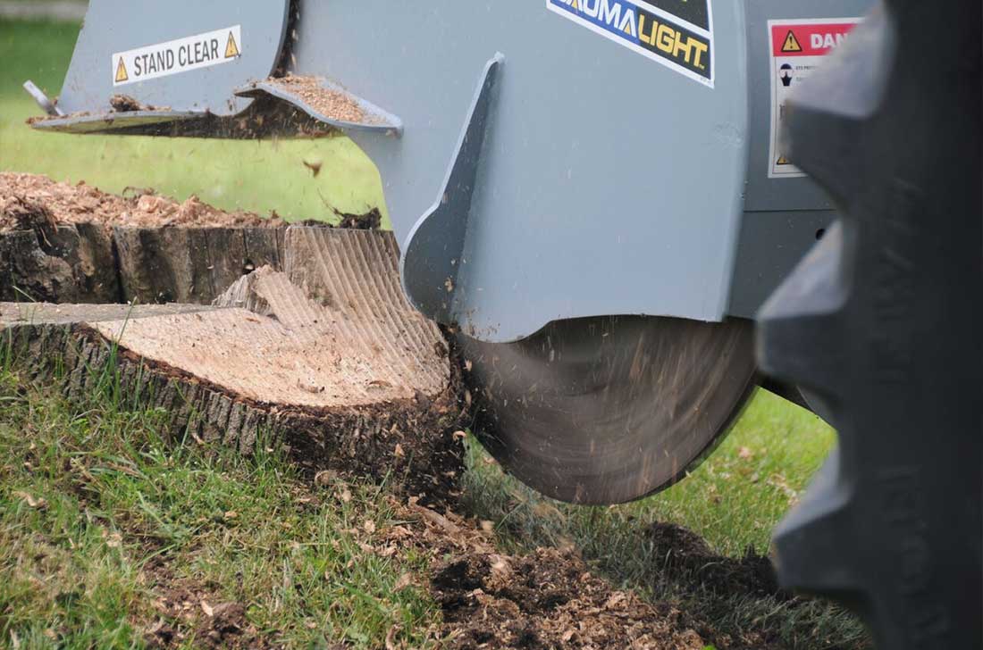 Baumalight | 3 Point Hitch Stump Grinder | 3P34 | 34" Rotor | 50-80 HP | For Tractor