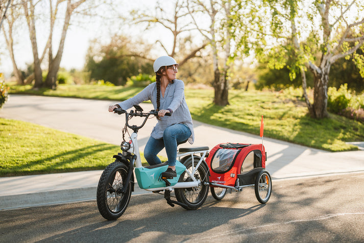 Himiway Cargo Electric Bike | Model C3 | Length 70.4" | Battery 48V 20Ah | Range 80 Miles | 750W Hub Motor