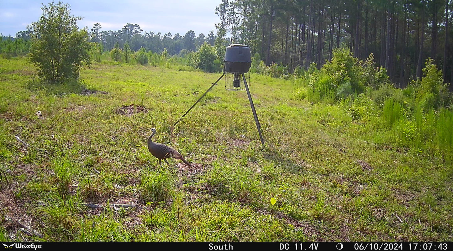 WiseEye | Cellular Trail Camera | Model MC-2 | 75ft IR Flash | 12MP HD Photos & 1080p Video | 0.4s Trigger Speed | MultiCarrier Connectivity | For Hunters & Wildlife Monitoring