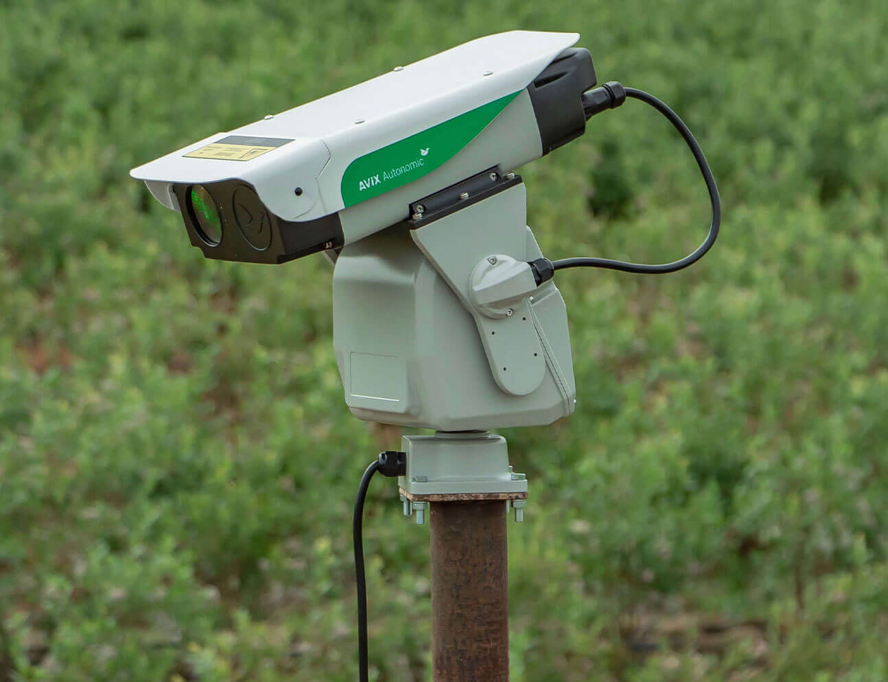 Bird Control Group | Autonomic Bird Laser System | Automated Pest Control